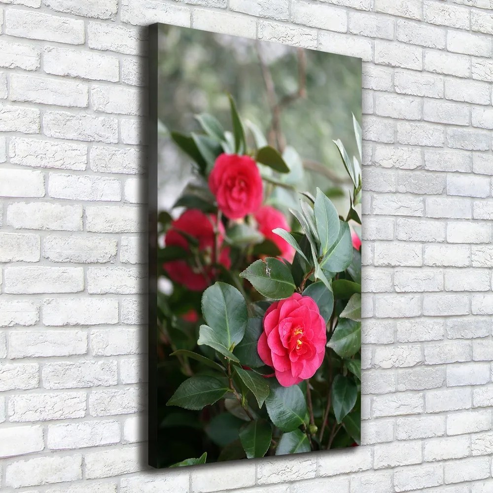 Print pe canvas Camelia