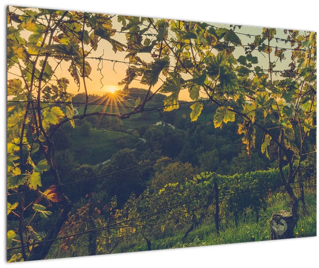 Tablou - Podgorii (90x60 cm)