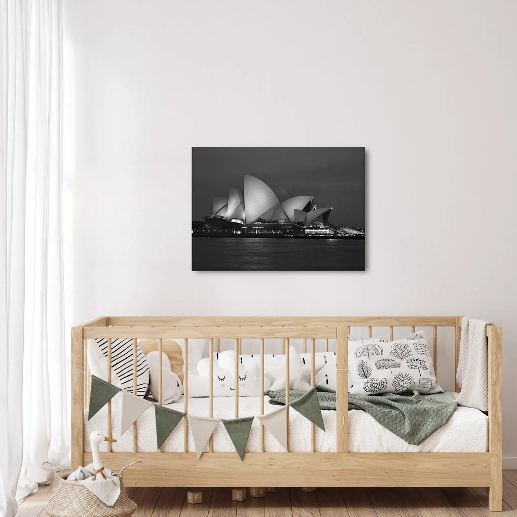 Tablou cu Opera din Sydney (70x50 cm)