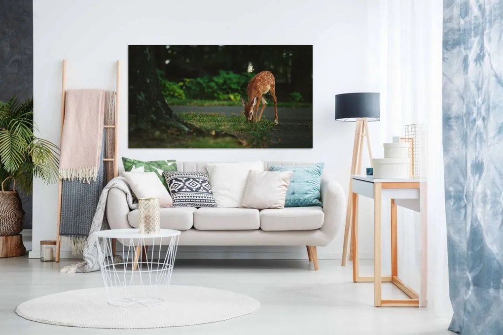 Tablou canvas caprioara - 100x60cm
