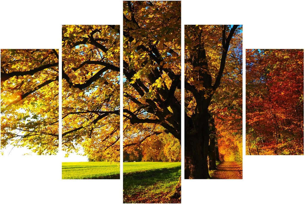 Tablou cu copac toamna (150x105 cm)