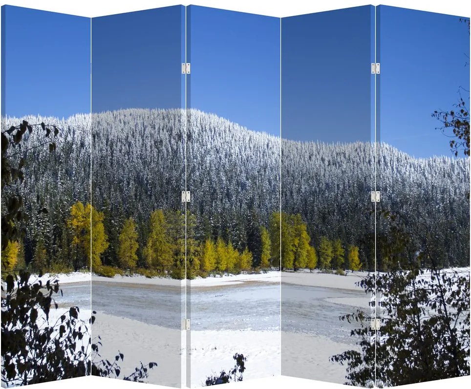 Paravan - Munții înzăpeziți iarna (210x170 cm)