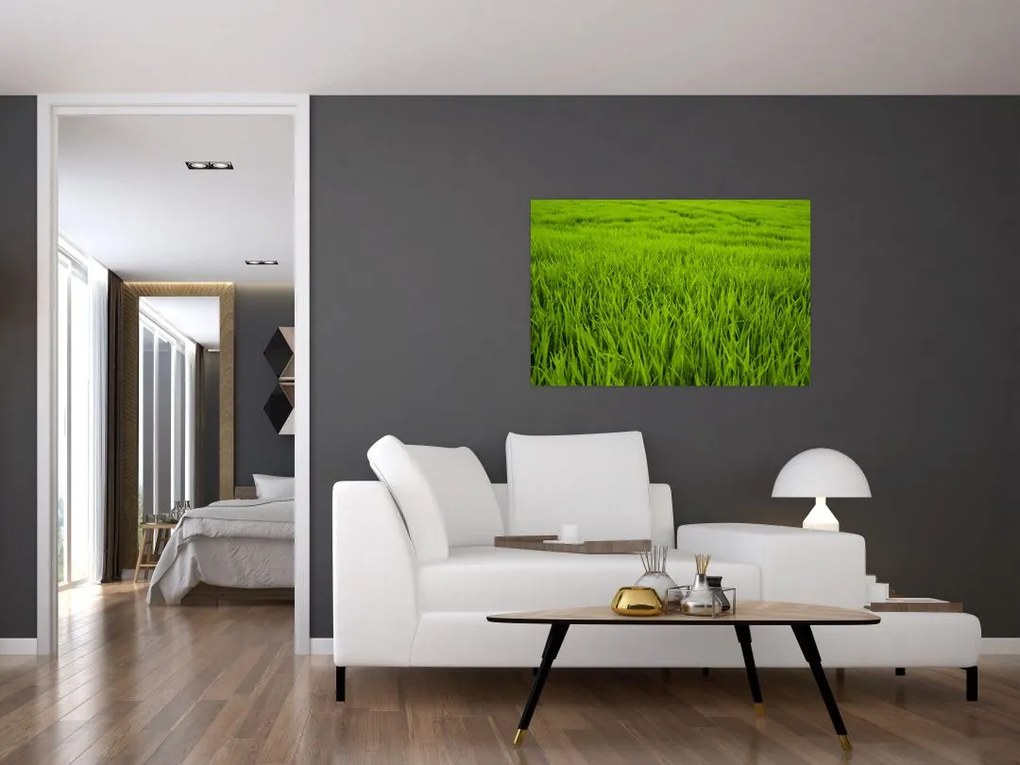 Tablou cu iaraba (90x60 cm)