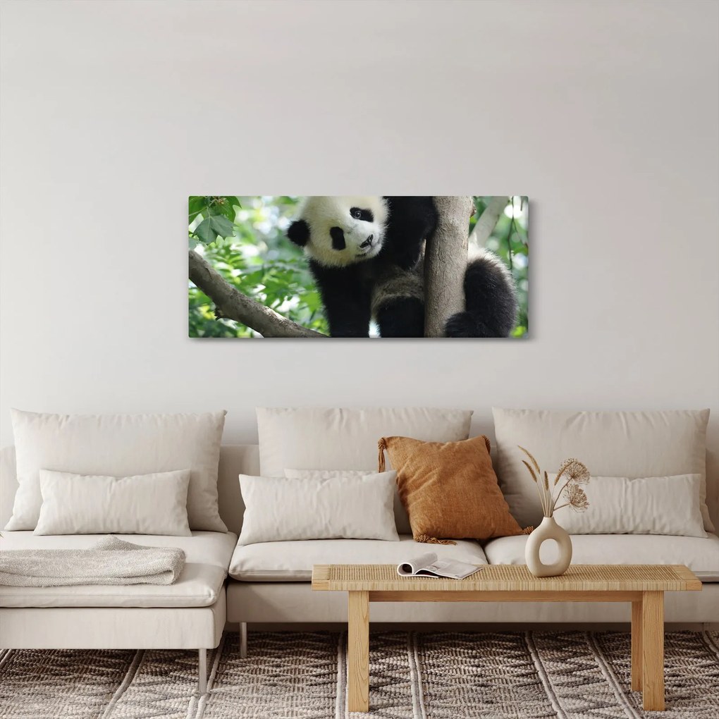 Tablou - Panda in copac (120x50 cm)