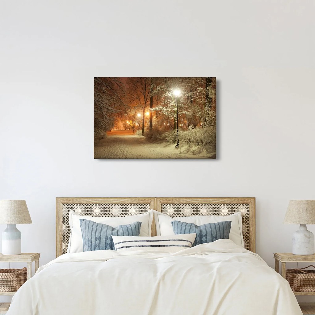 Tablou - Parcul înzăpezit (90x60 cm)