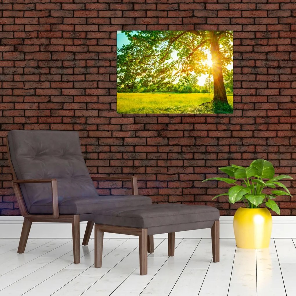 Tablou pe sticlă - Pădurea însorită (70x50 cm)