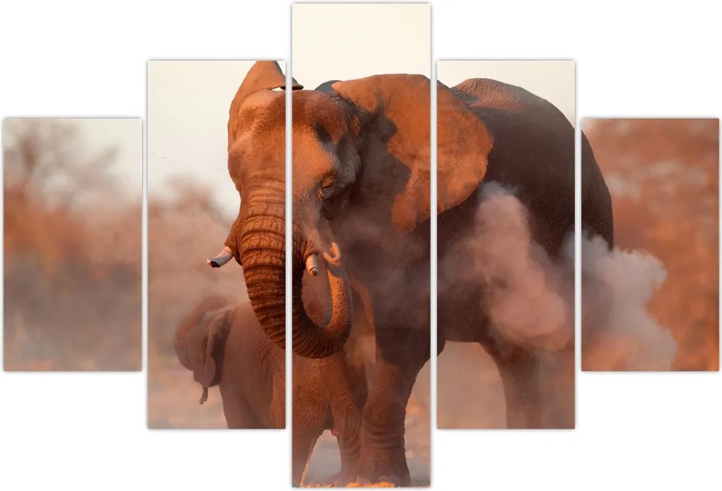 Tablou - Marele elefant african (150x105 cm)