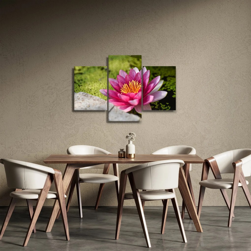 Tablou - Lotus (90x60 cm)