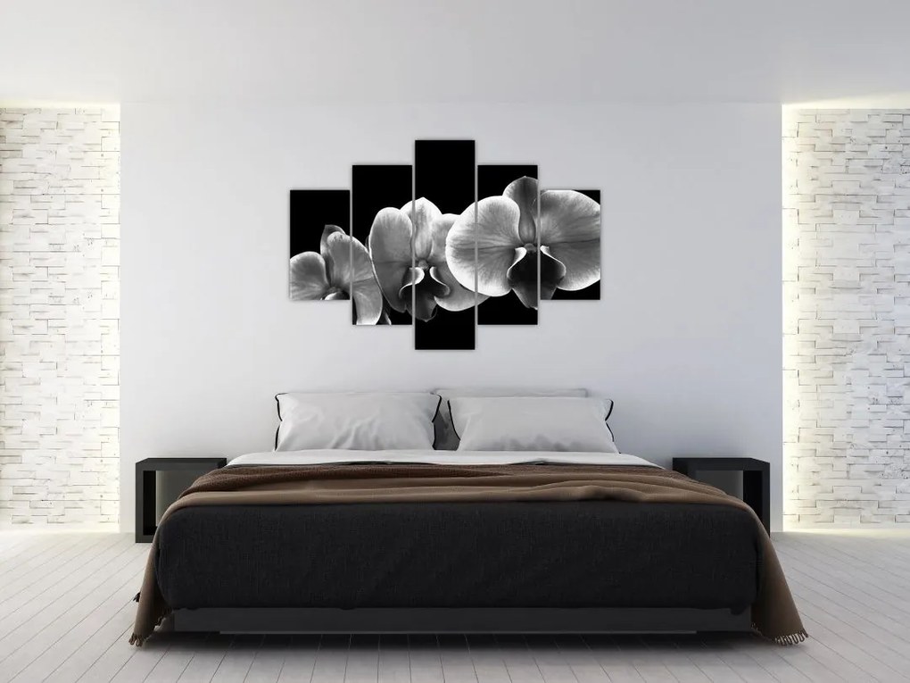 Tablou floare de orhidee (150x105 cm)