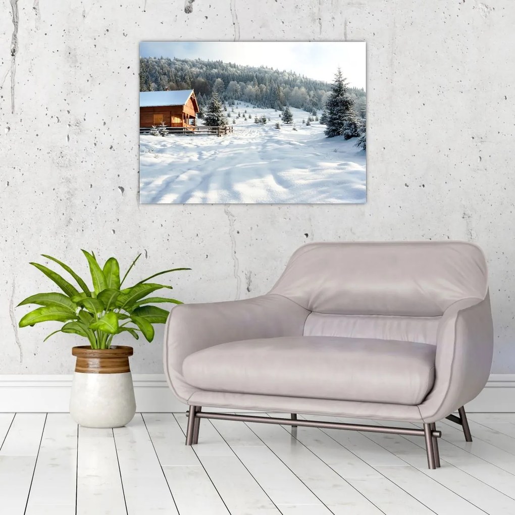 Tablou - Cabană de munte (70x50 cm)
