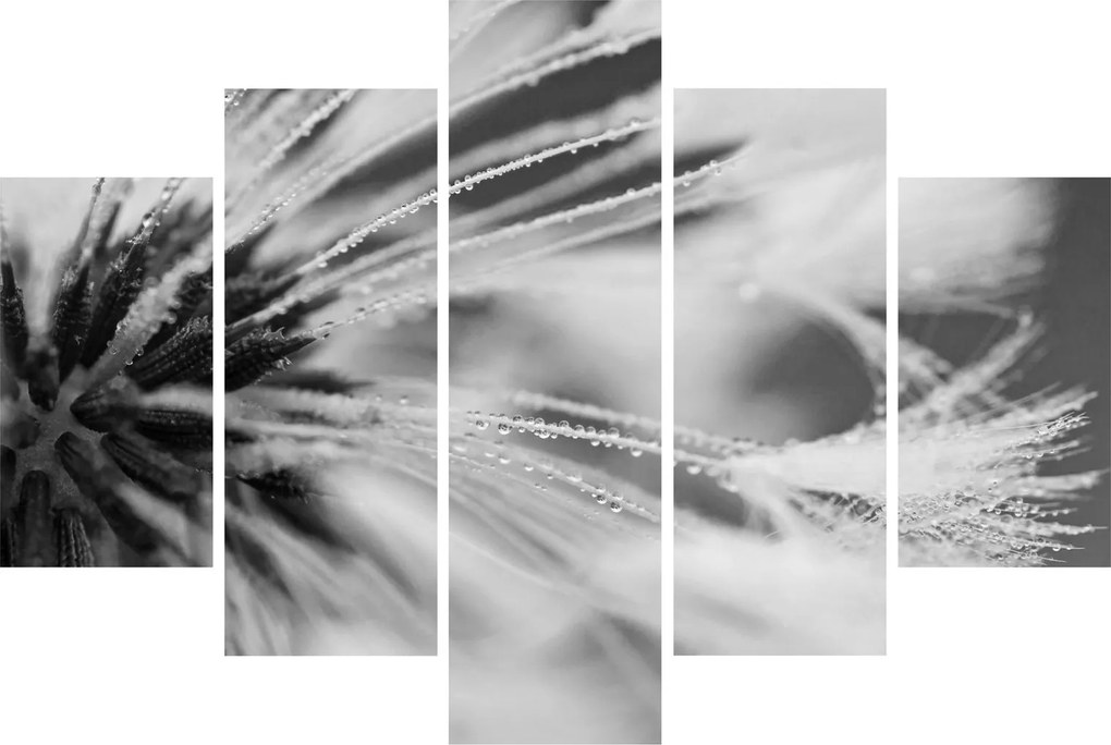 Tablou - Macro,alb-negru (150x105 cm)