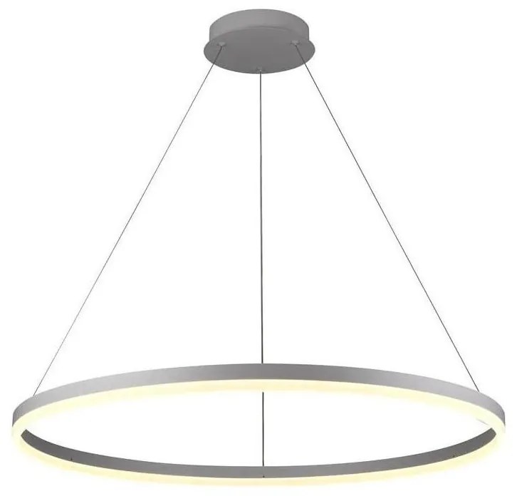 Lustră LED dimabilă pe cablu Brilagi CIRCLE LED/55W/230V 3000-6500K argintiu + telecomandă