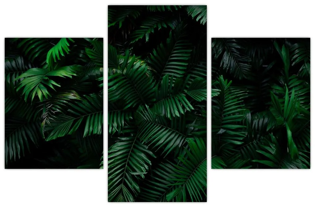 Tablou - Păpădii tropicale (90x60 cm)