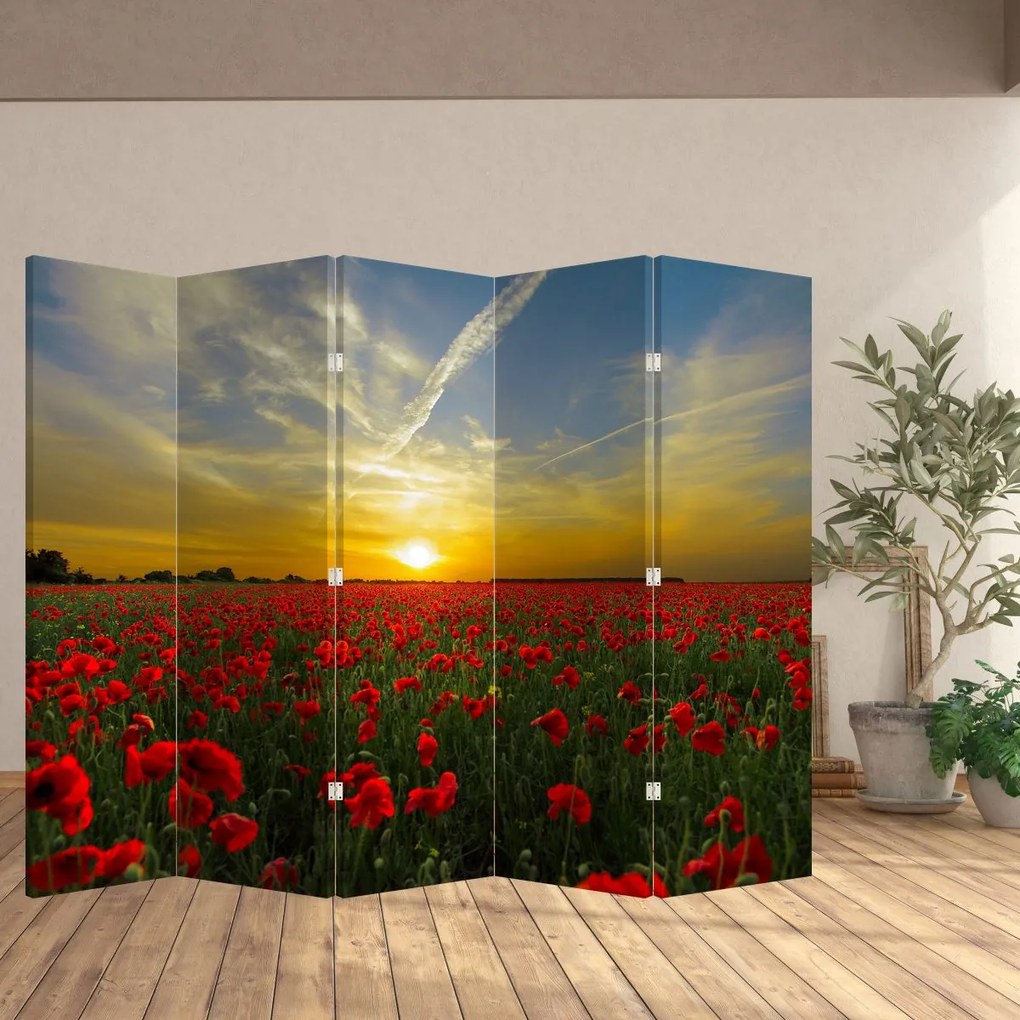 Paravan - Câmp cu maci (210x170 cm)