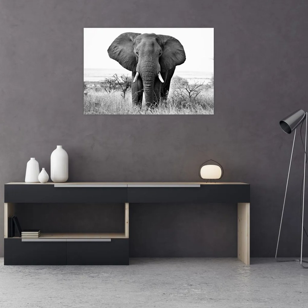 Tablou - Elefantul african II. (90x60 cm)