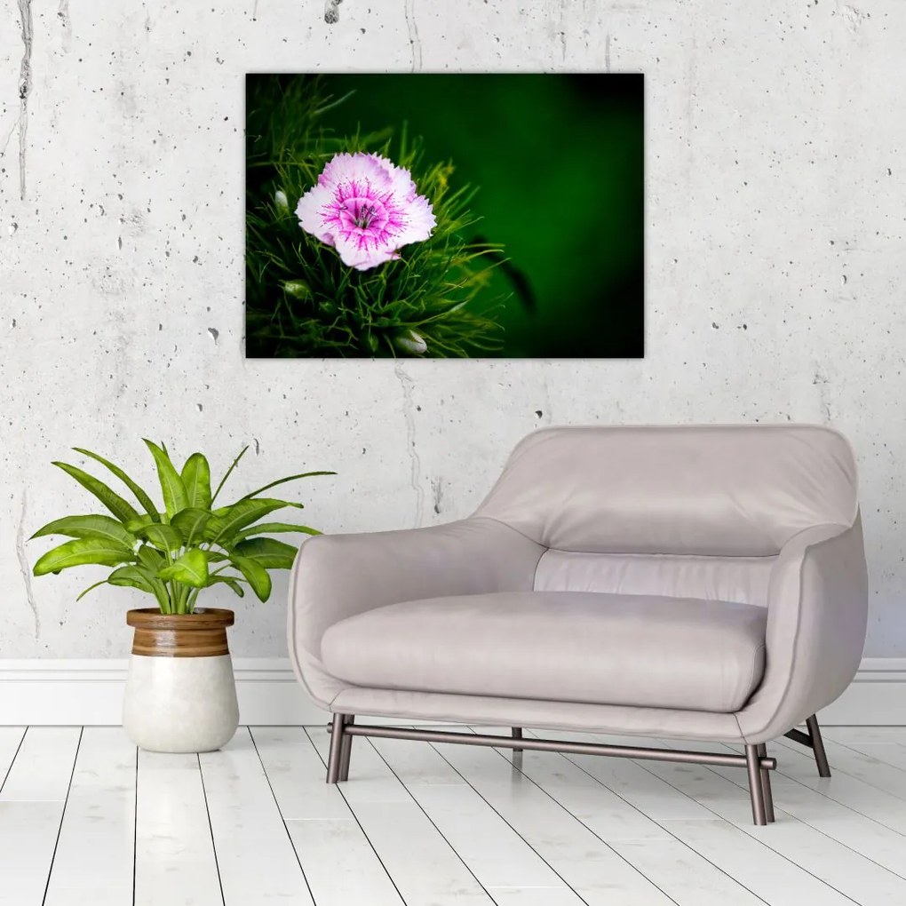 Tablou cu floare roz (70x50 cm)
