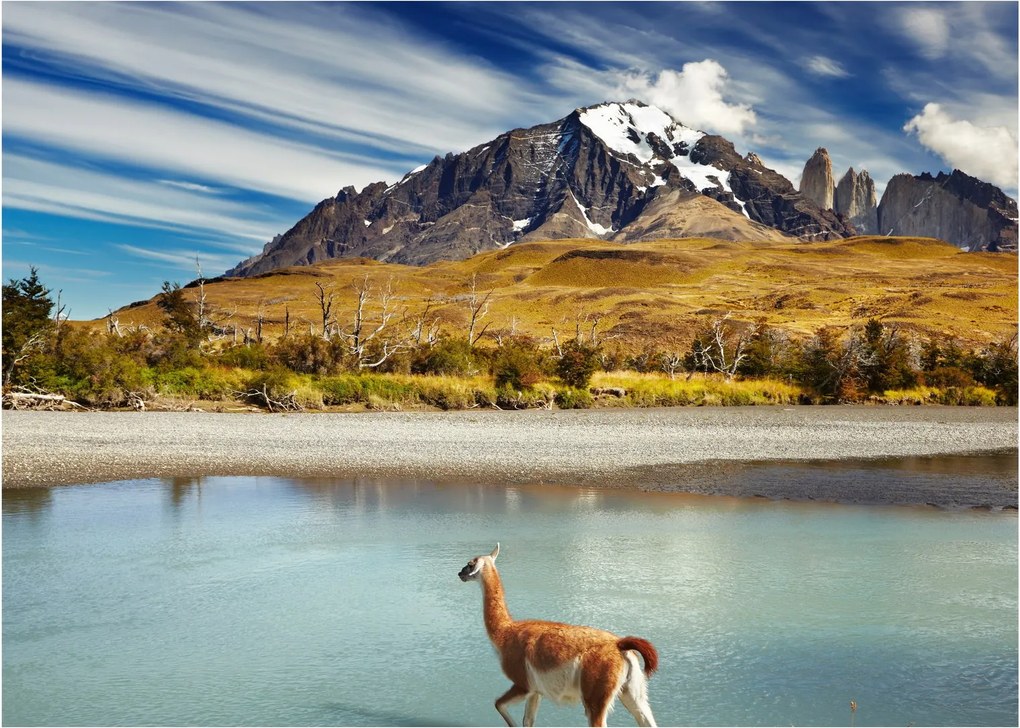 Tablou - Parcul Național Torres del Paine (70x50 cm)