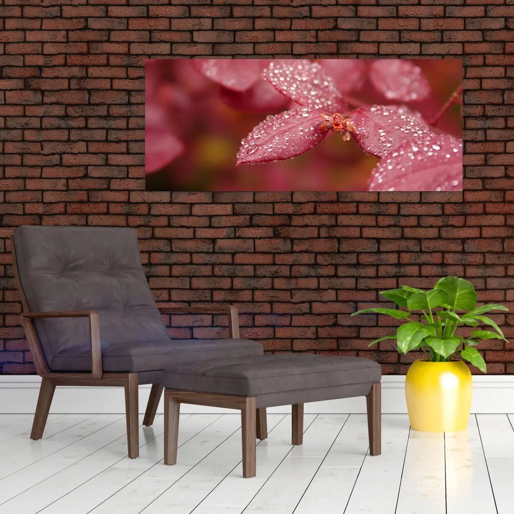 Tablou - Imagine macro a biletului (120x50 cm)