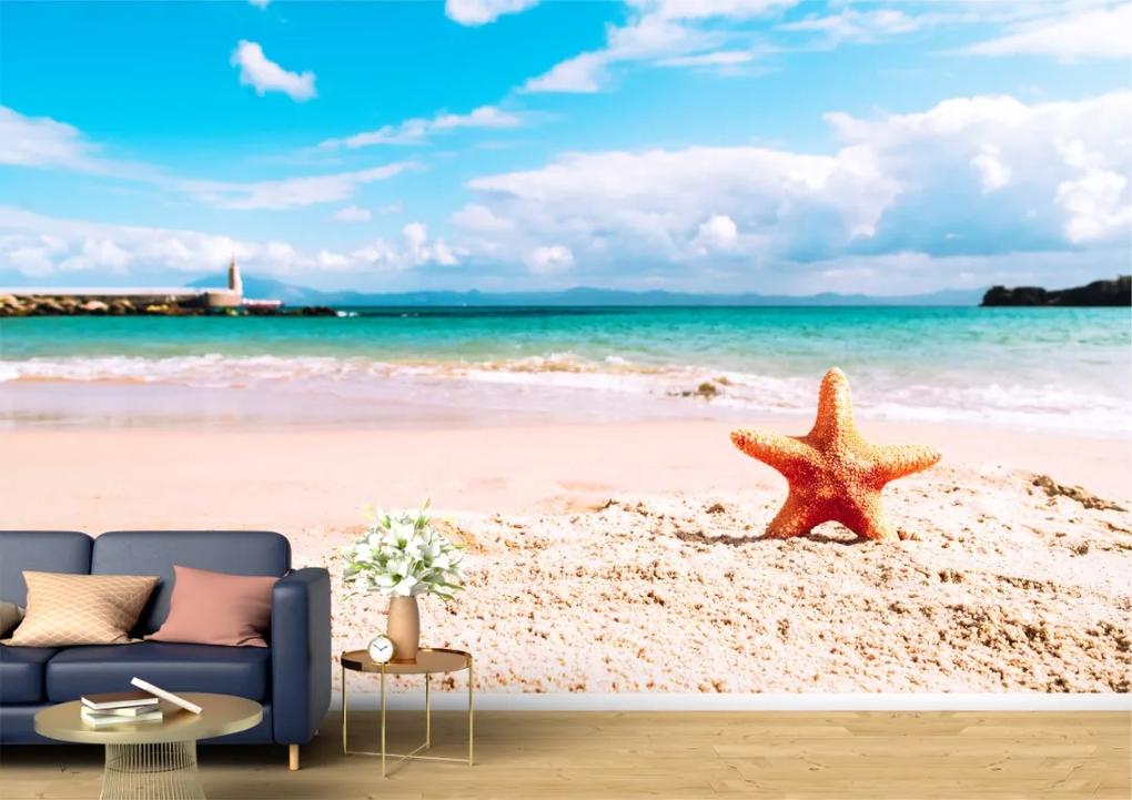 Tapet Premium Canvas - Steaua de mare pe plaja insorita