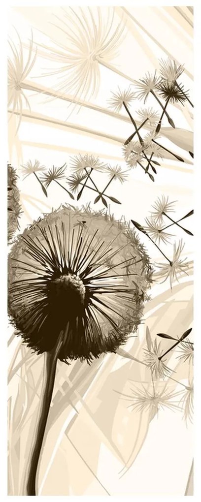 Fotojaluzele R014964R57150 (57x150 cm)