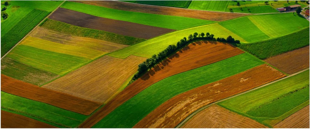 Tablou - Lan, luncile (120x50 cm)