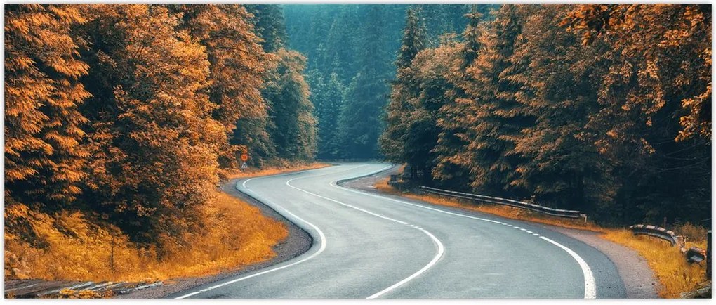 Tablou - Drumul cu serpentine (120x50 cm)