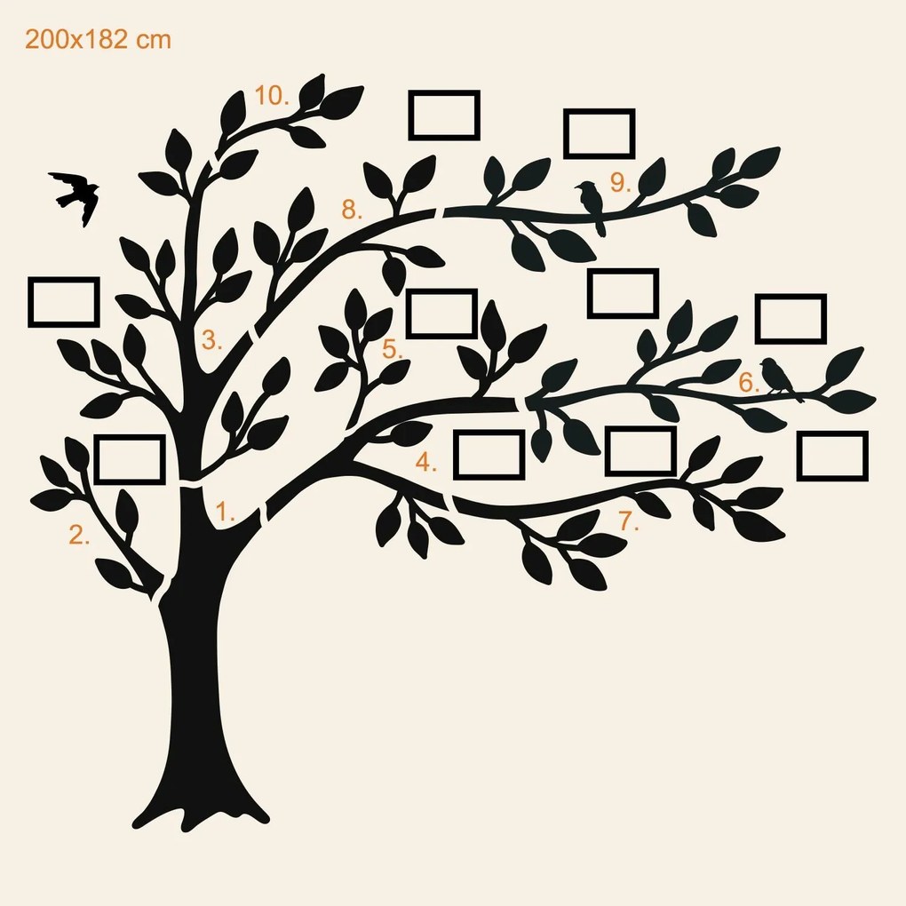 DUBLEZ | Arbore genealogic cu poze (10 rame foto)