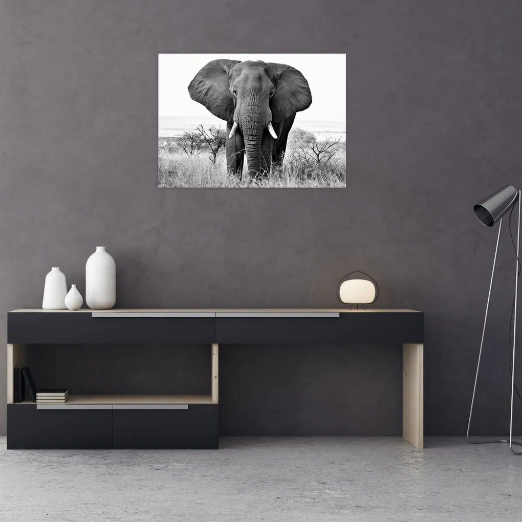 Tablou - Elefantul african II. (70x50 cm)