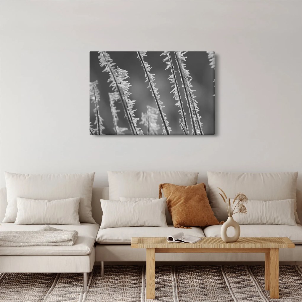Tablou - Frig de îngheț (90x60 cm)