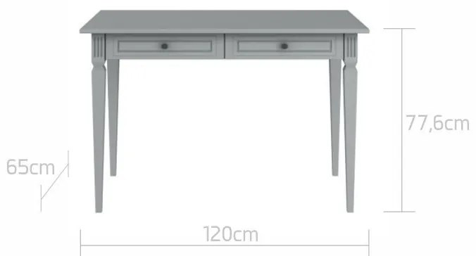 Birou pentru copii Ines gri L120 cm
