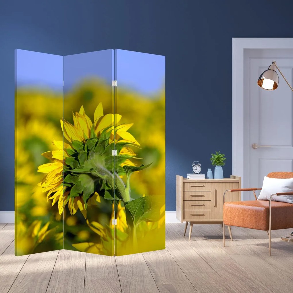 Paravan - Floarea soarelui (126x170 cm)