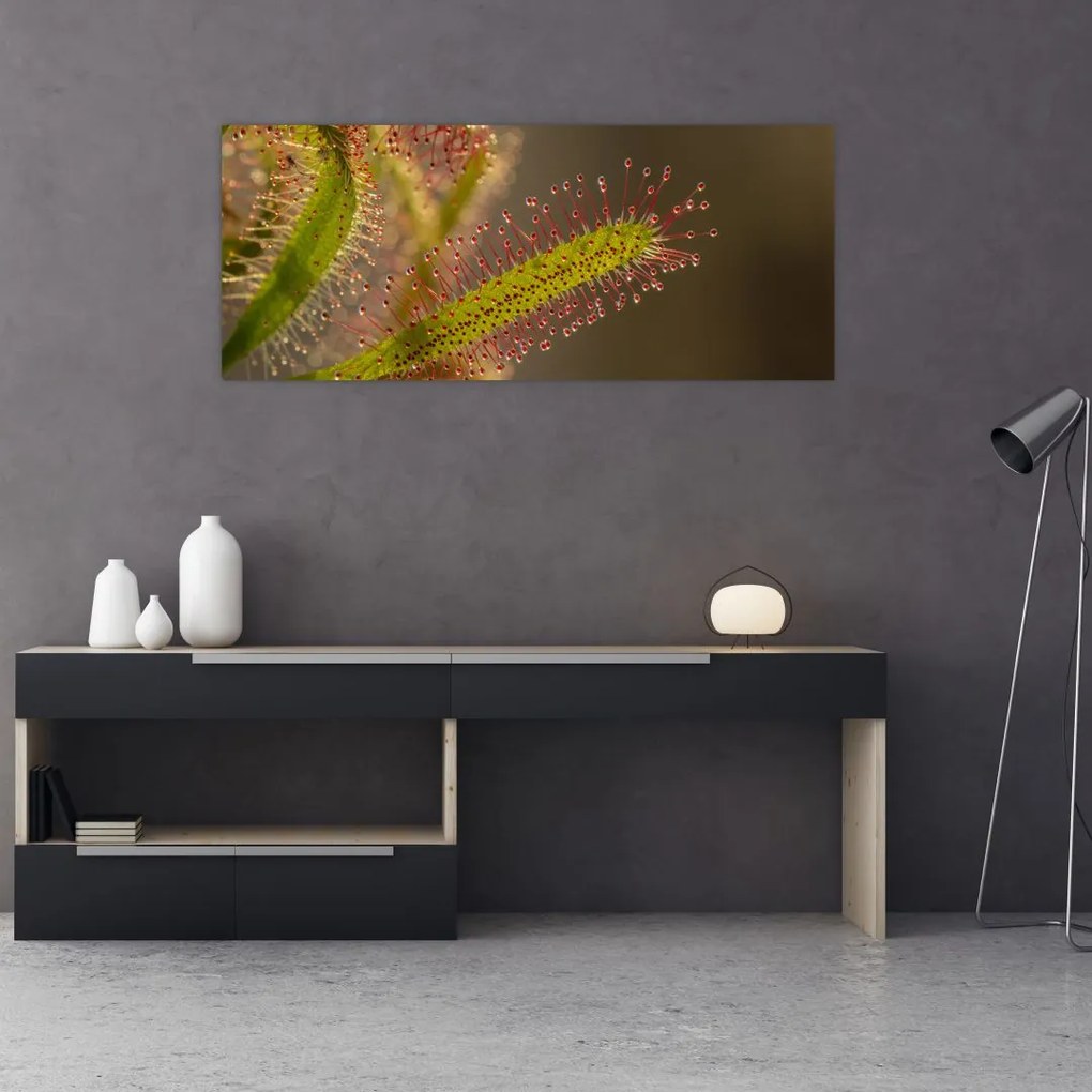 Tablou cu plantă (120x50 cm)