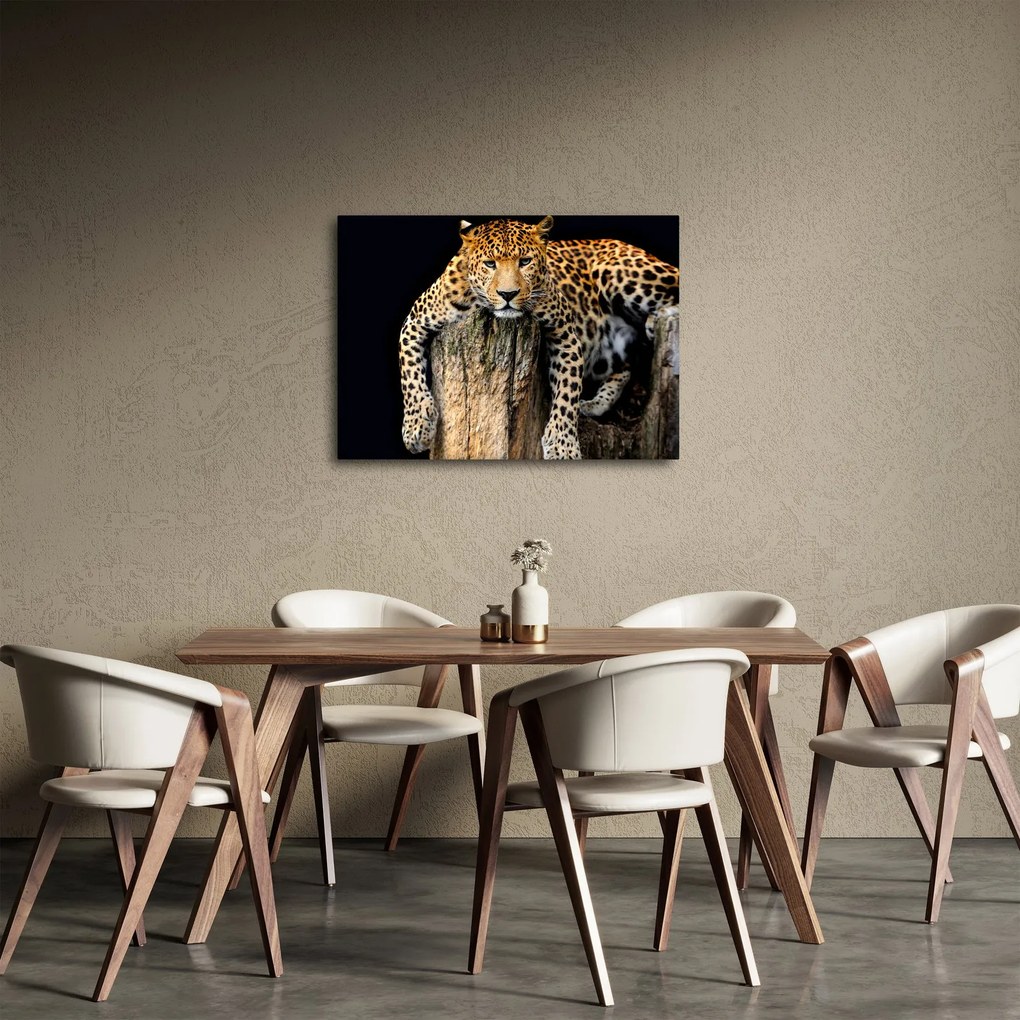 Tablou - Ghepard (70x50 cm)