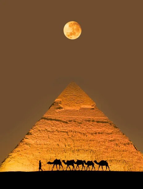 Fotografie Camel train and pyramid, Grant Faint