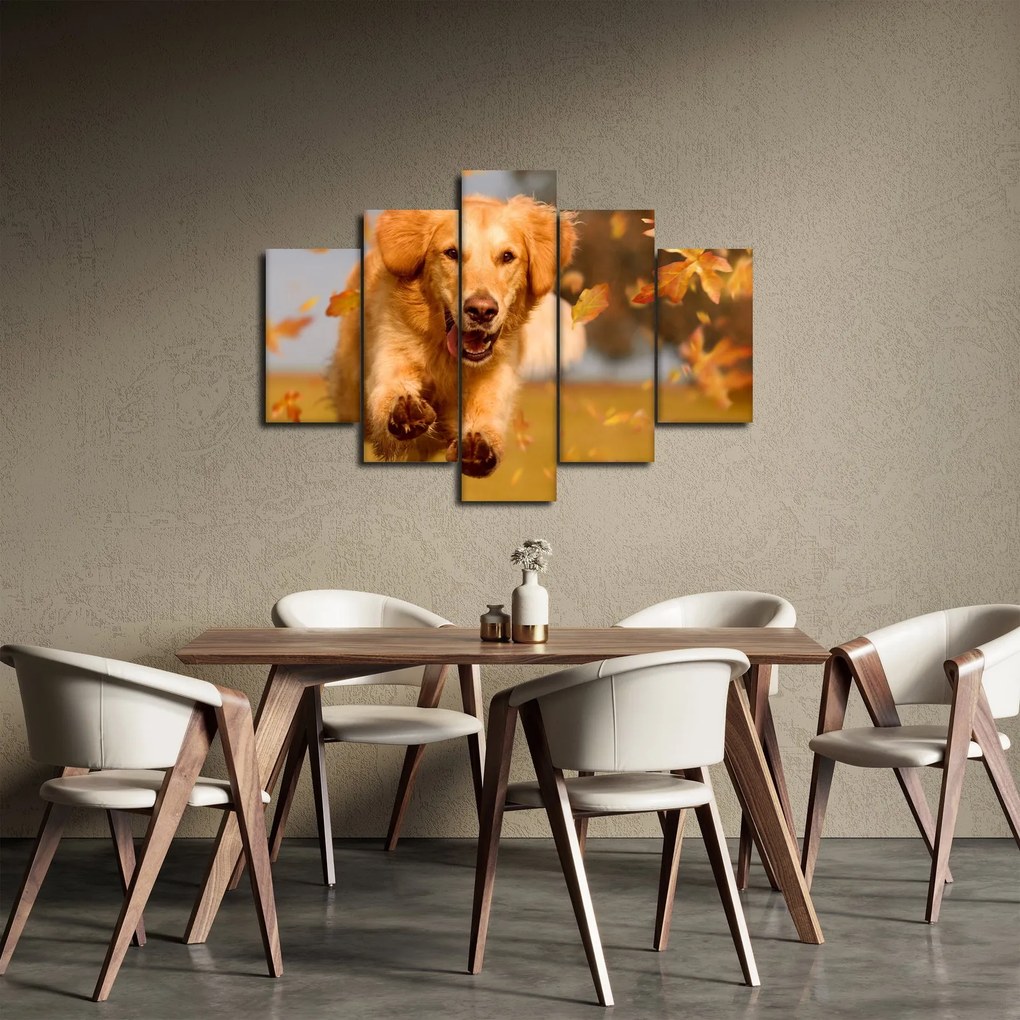 Tablou - Golden Retriever (150x105 cm)