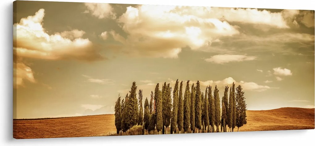 Tablou cu luncă (120x50 cm)