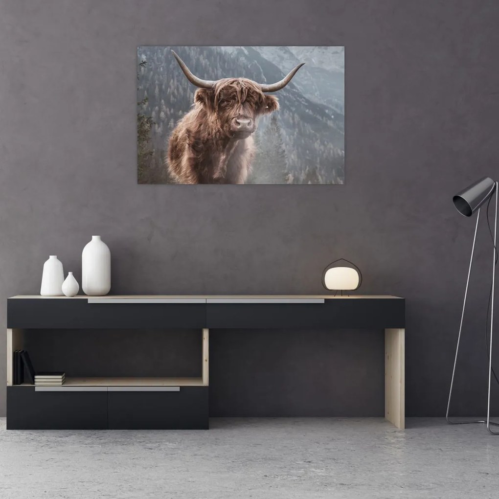 Tablou - Vaca Highlander (90x60 cm)