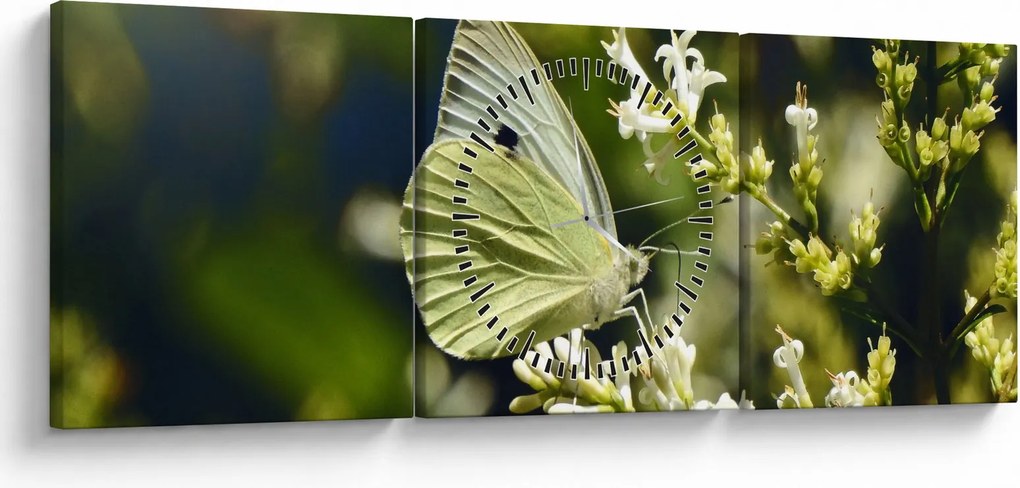 Tablou cu fluture (cu ceas) (90x30 cm)