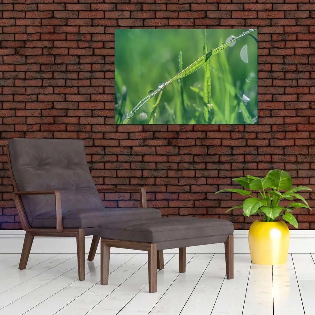 Tablou cu picături de rouă (90x60 cm)