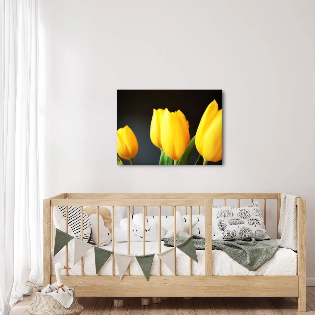 Tablou cu lalele (70x50 cm)