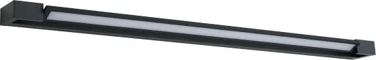 BRILAGI - LED Aplica de perete pentru exterior AQUA LINE LED/36W/230V 120 cm IP44 negru