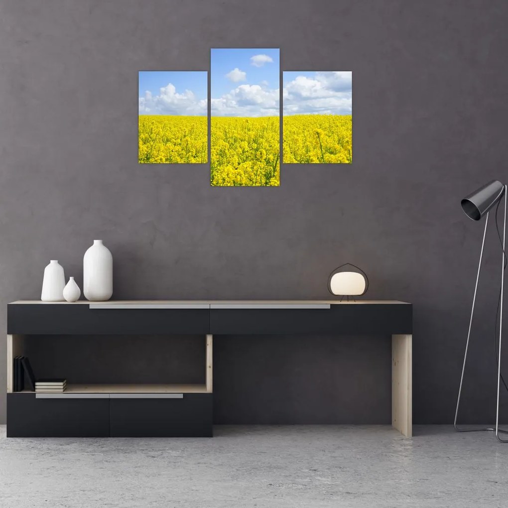 Tablou - Câmp galben (90x60 cm)