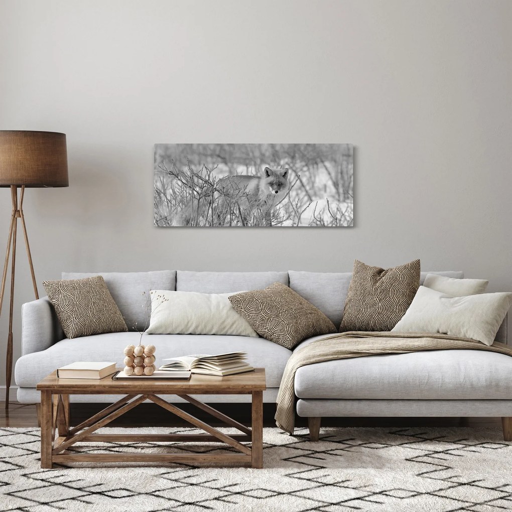 Tablou - Vulpe,alb-negru (120x50 cm)