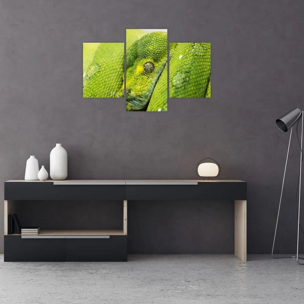 Tablou cu șarpe (90x60 cm)