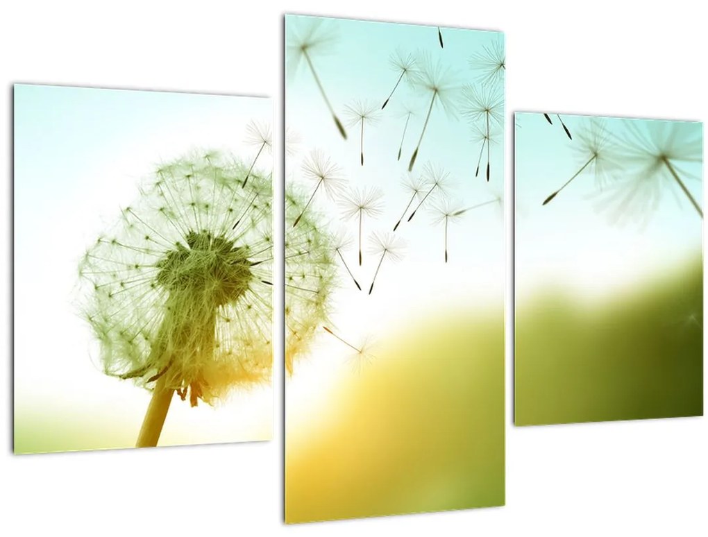 Tablou - Păpădia în vânt (90x60 cm)