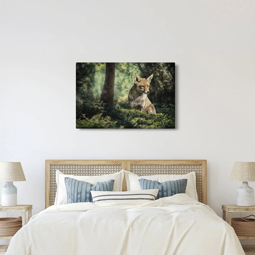 Tablou cu vulpe (90x60 cm)