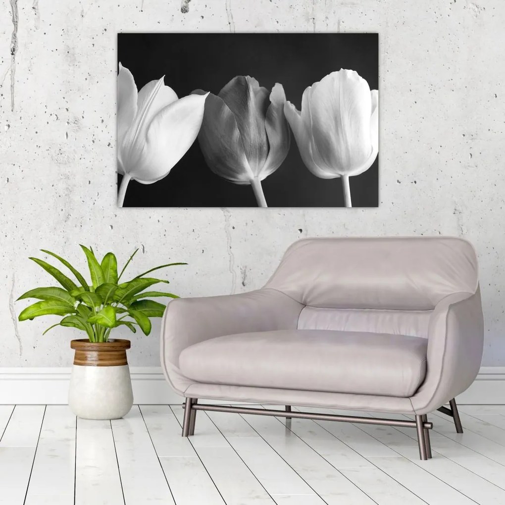 Tablou - Lalele alb negre (90x60 cm)