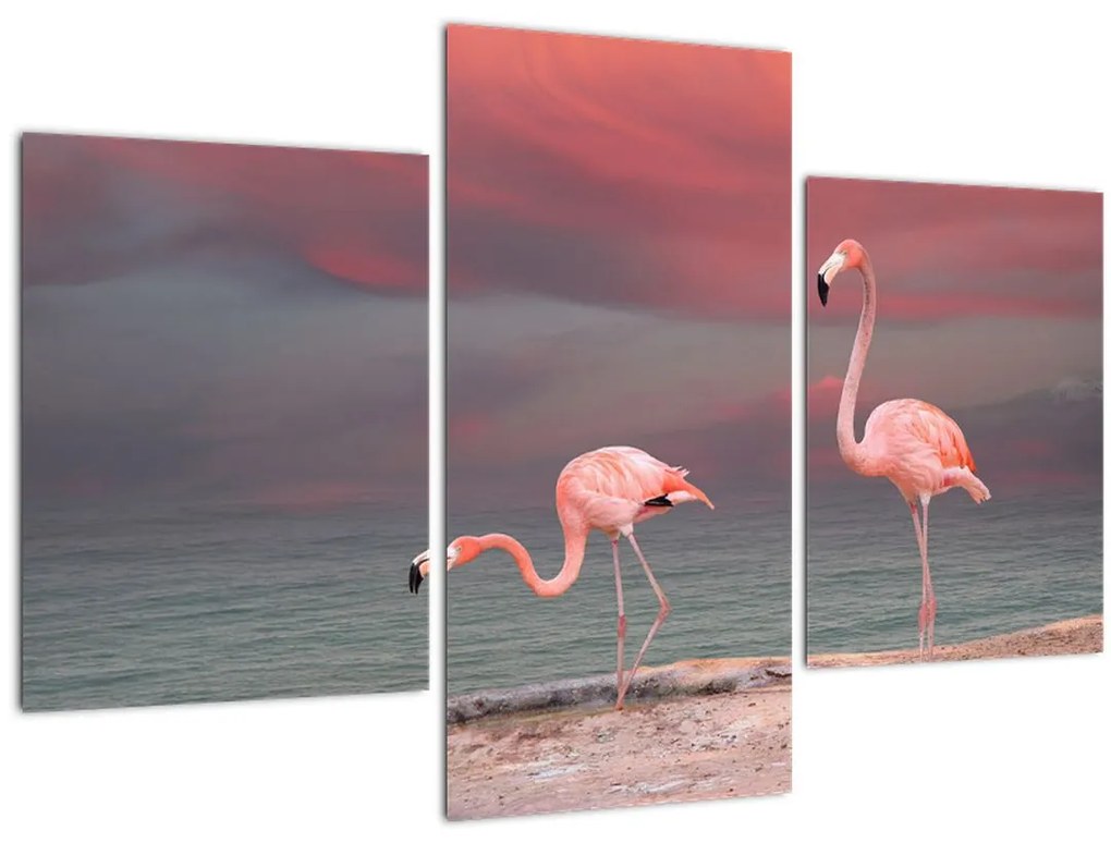 Tablou - Flamingo (90x60 cm)