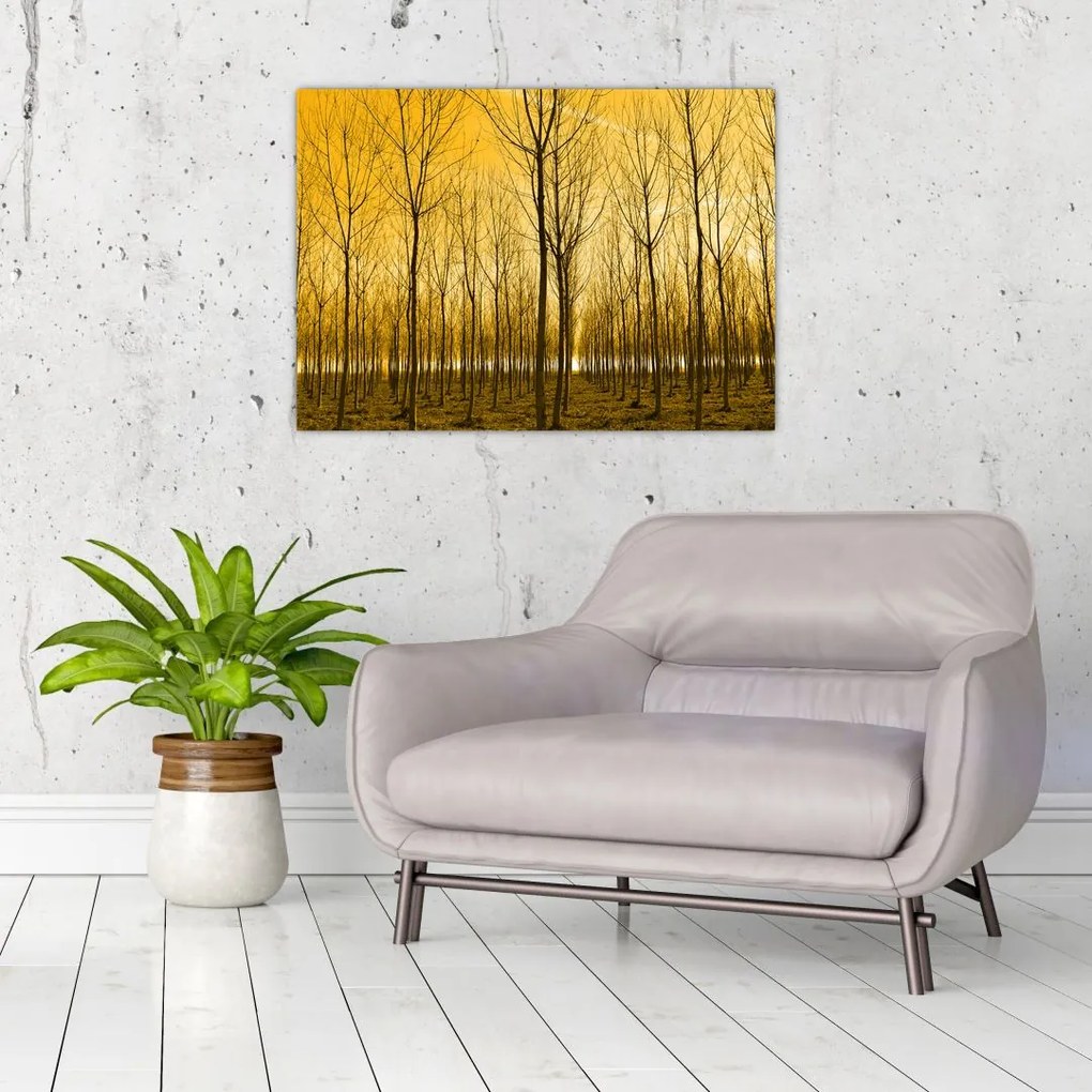 Tablou pe sticlă cu pădure în apus de soare (70x50 cm)