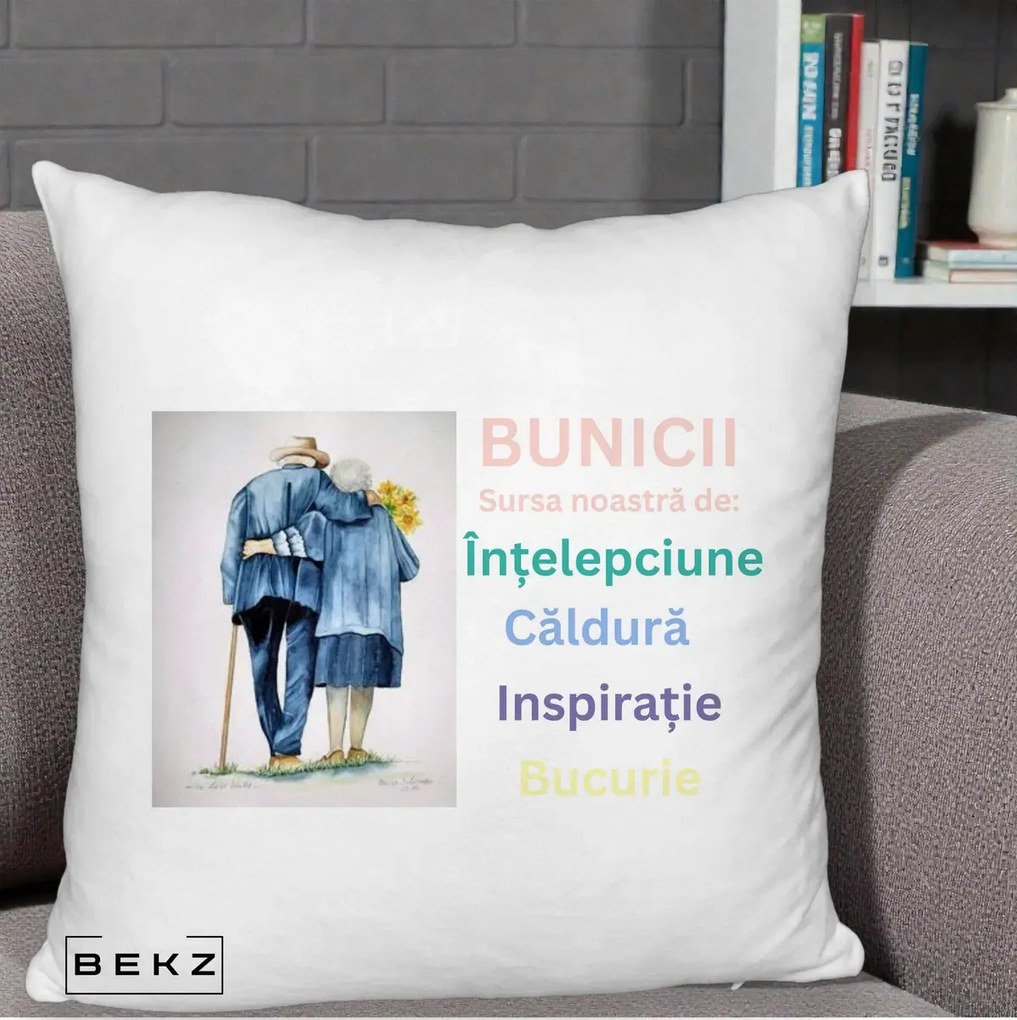 Cadou pentru Bunici - Perna Personalizata Bunicii Sursa Intelepciune Caldura Acuarela, 40x40 cm, Alb Pufos, Husa Detasabila, Perna Inclusa, BEKZ®